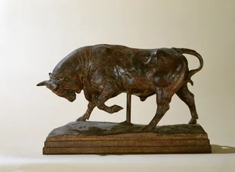 Petit taureau